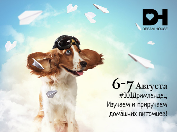6 и 7 августа - “101 Дримлендец” в Дрим Лэнд!