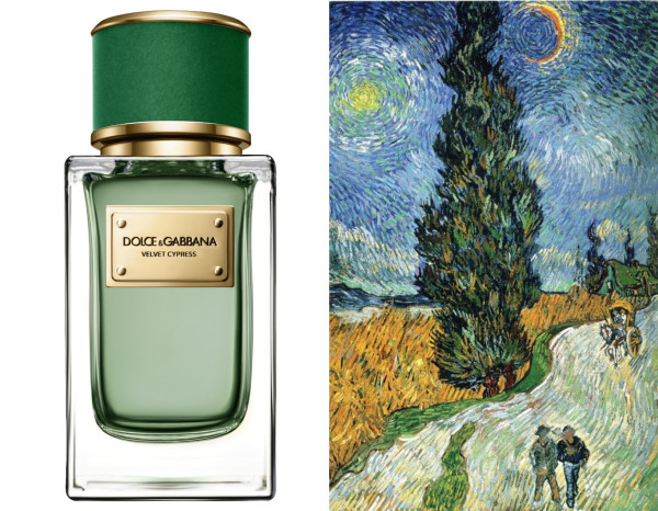 Стройный как кипарис: аромат Velvet Cypress, Dolce & Gabbana
