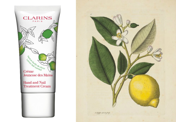 Кисло не будет: коллекция кремов для рук Jeunesse des Mains, Clarins