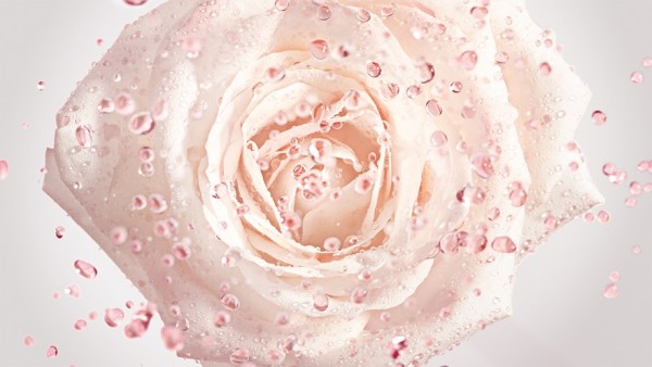 Вопрос престижа: линия Dior Prestige
пополнилась восстанавливающим концентратом La Micro-Huile de Rose