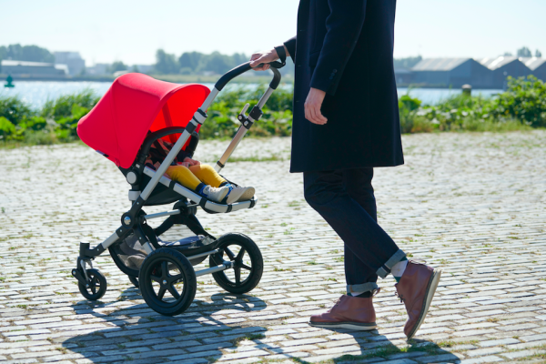 С прибавлением: обновленная bugaboo cameleon³ plus