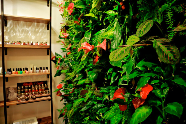 Праздничные предложения Organic Woman Beauty & Aveda