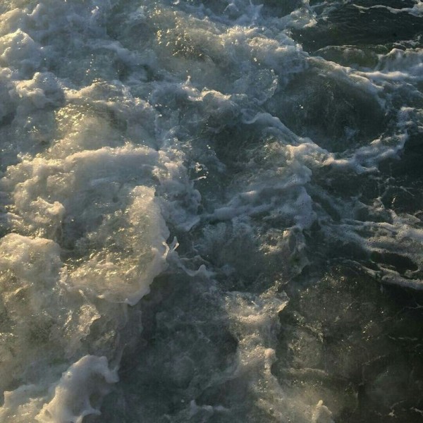 Аморе море: 5 мест, где ребенка научат любить океан